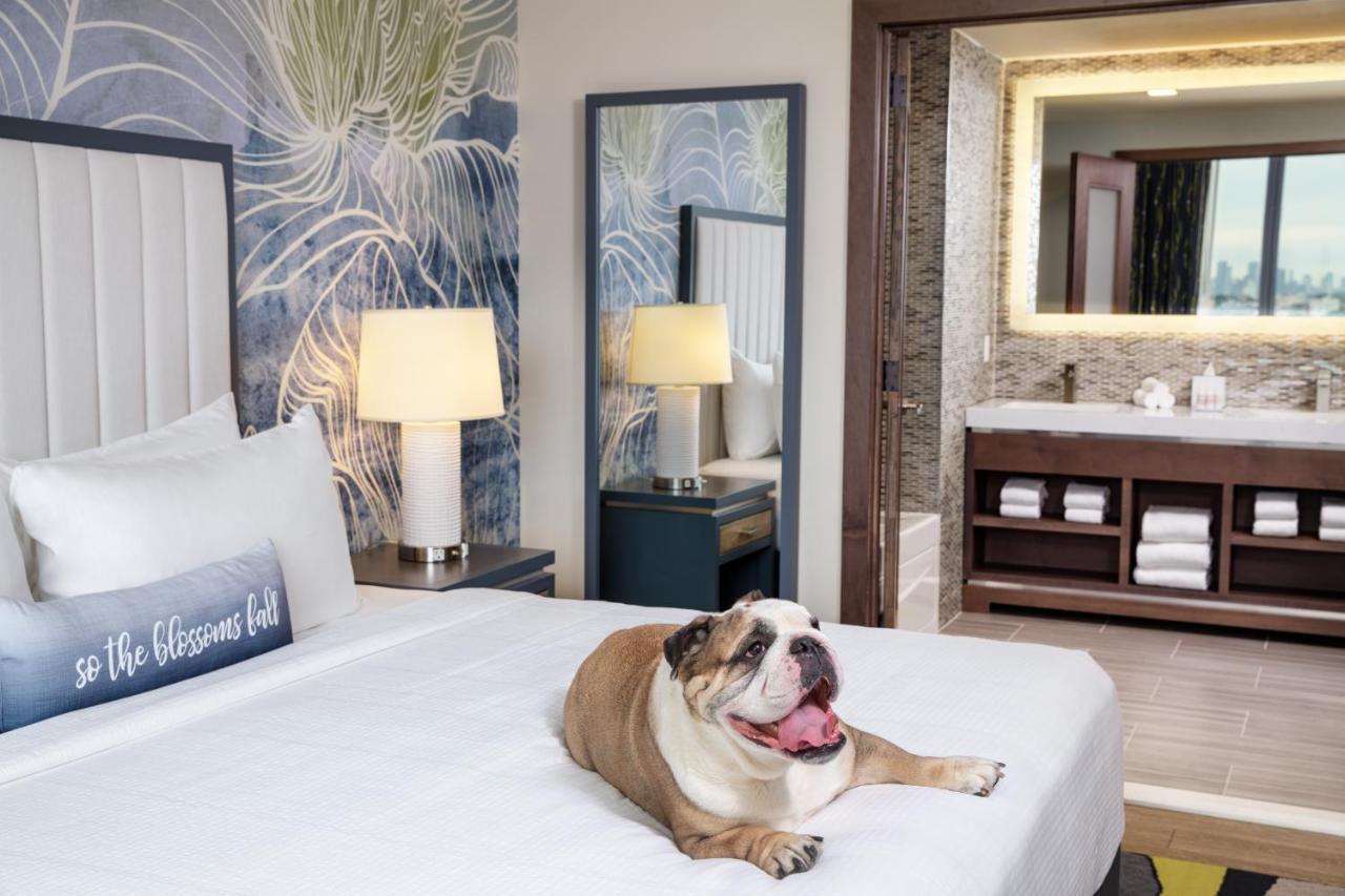 Hotel Indigo Flushing - Laguardia Ню Йорк Екстериор снимка